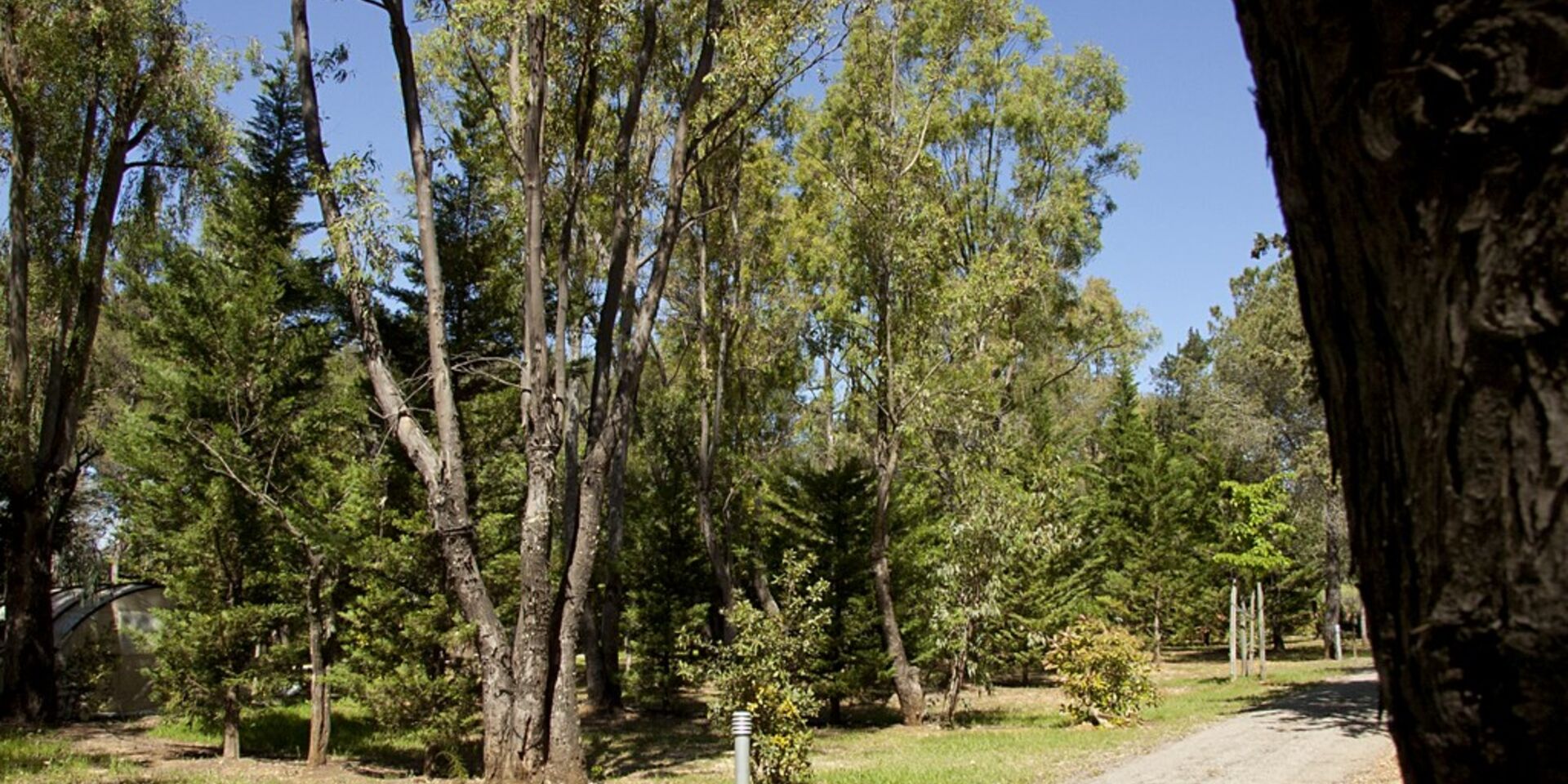 Hyères nature – Plages – camping écologique et écoresponsable