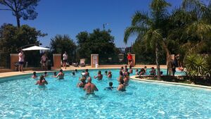 Camping Piscine Animation Vacances 