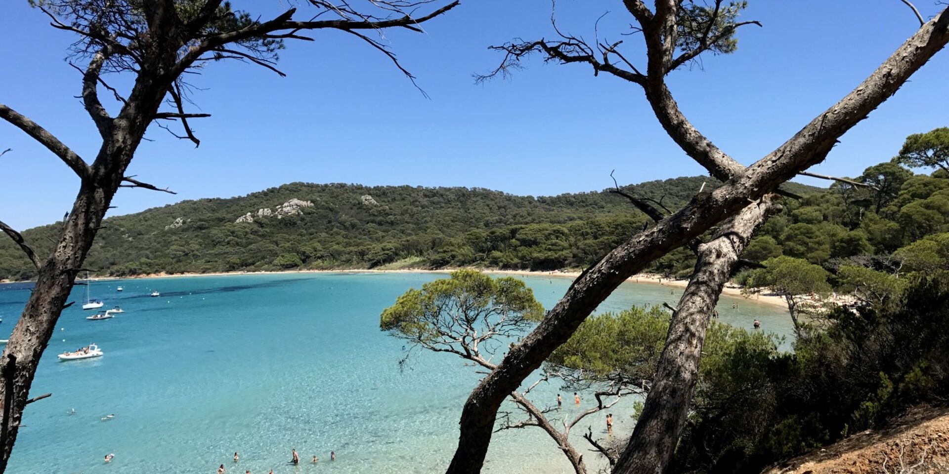 Camping Var à proximité de Porquerolles