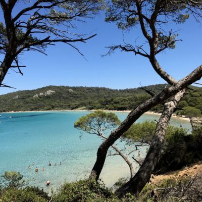 Camping Var île de Porquerolles - Hyères