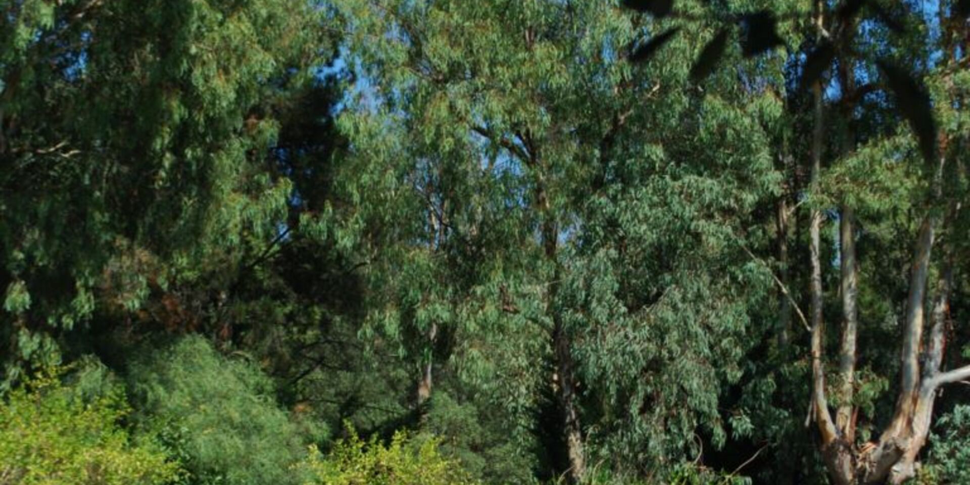 Camping à Hyères - nature et écologie, ombre et tranquillité