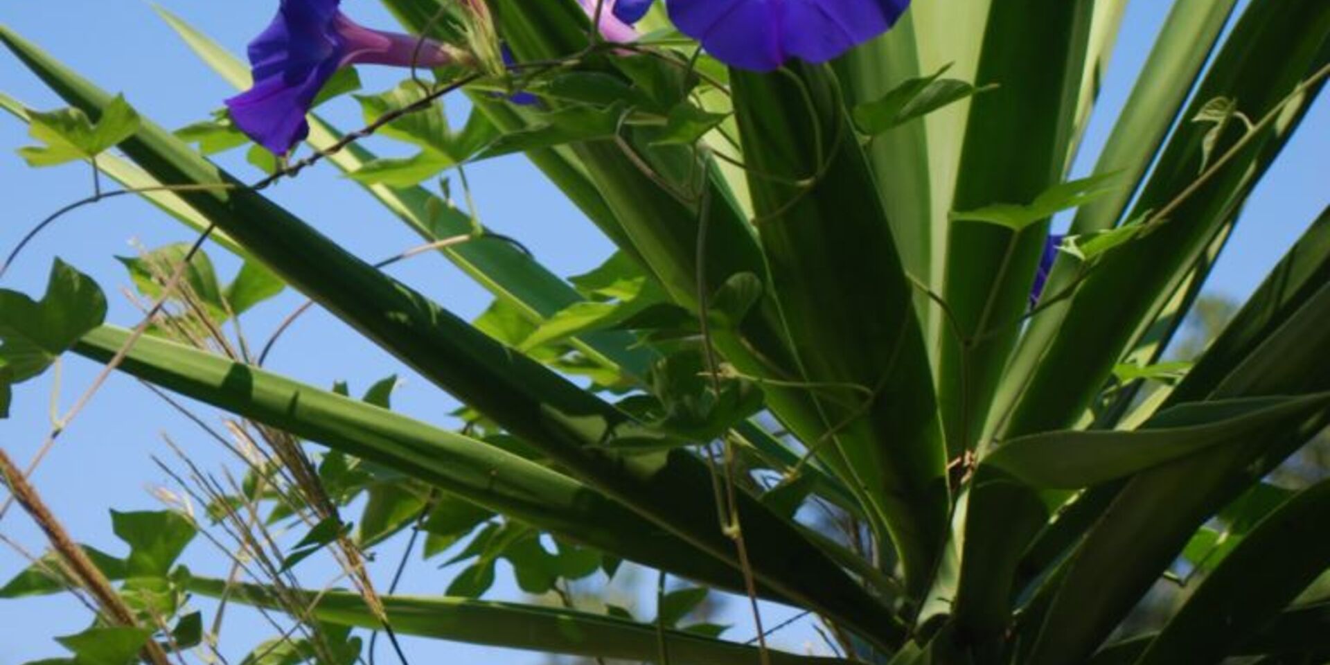 Nature - Parc aquatique - Vacances