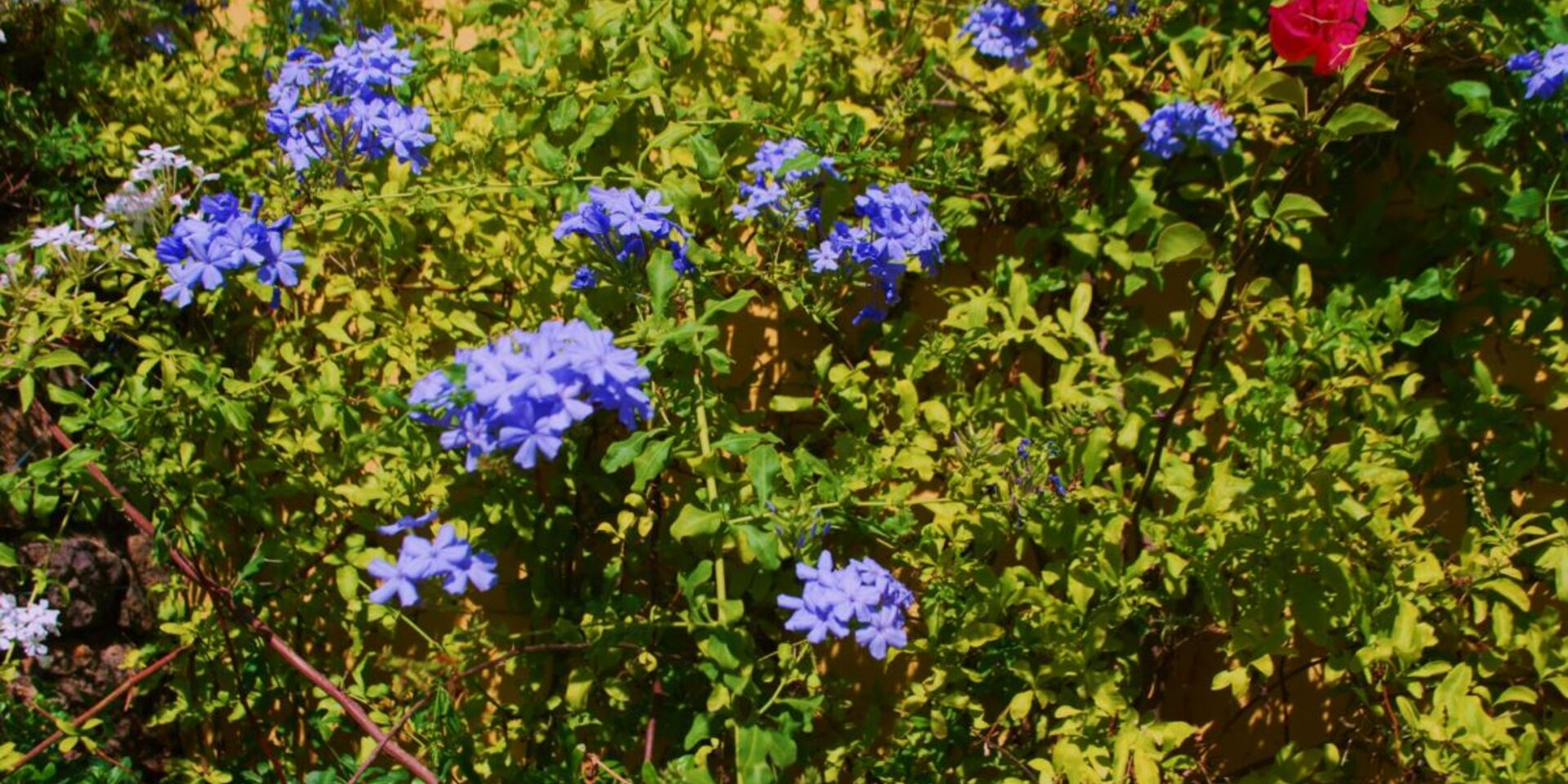 Camping fleuri et écoresponsable - le Lavandou