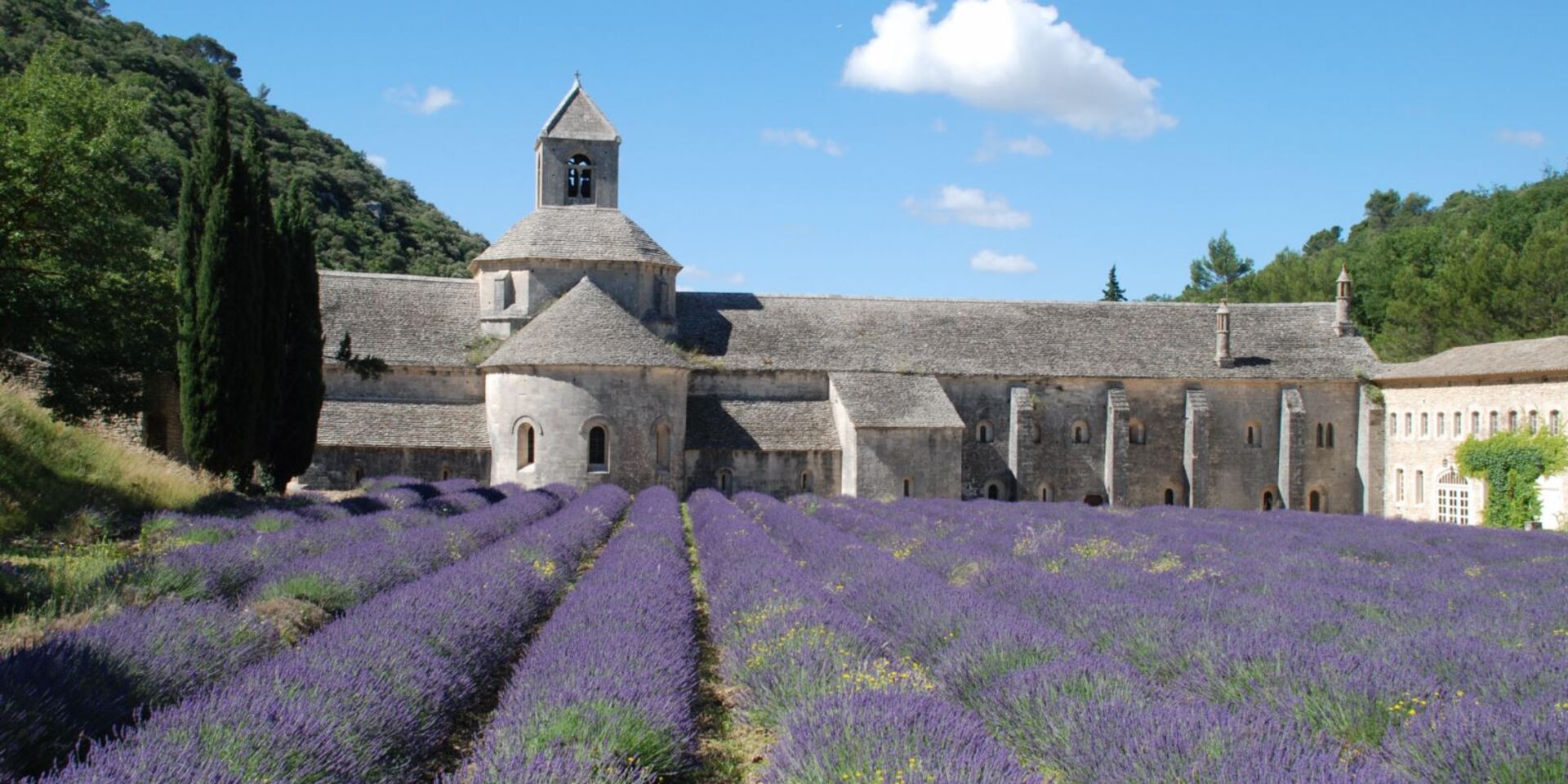 Vaucluse : Abbaye de Sénanque