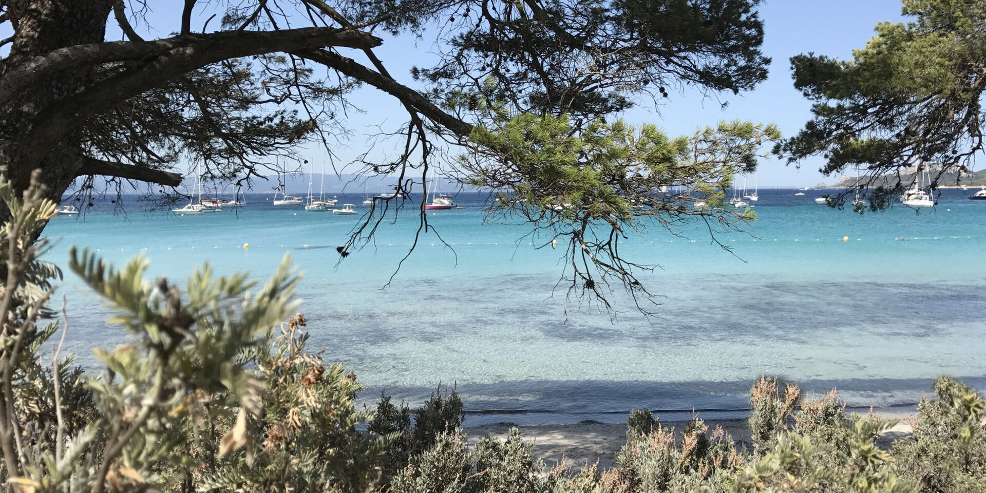 La plage d'Argent de Porquerolles