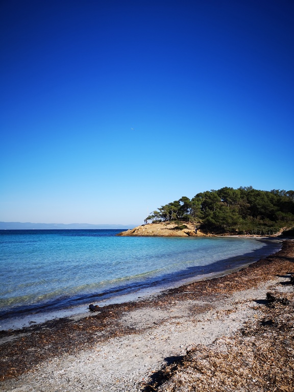 Plage D'Argent Porquerolles à 30 Min Du Camping De La Pascalinette®