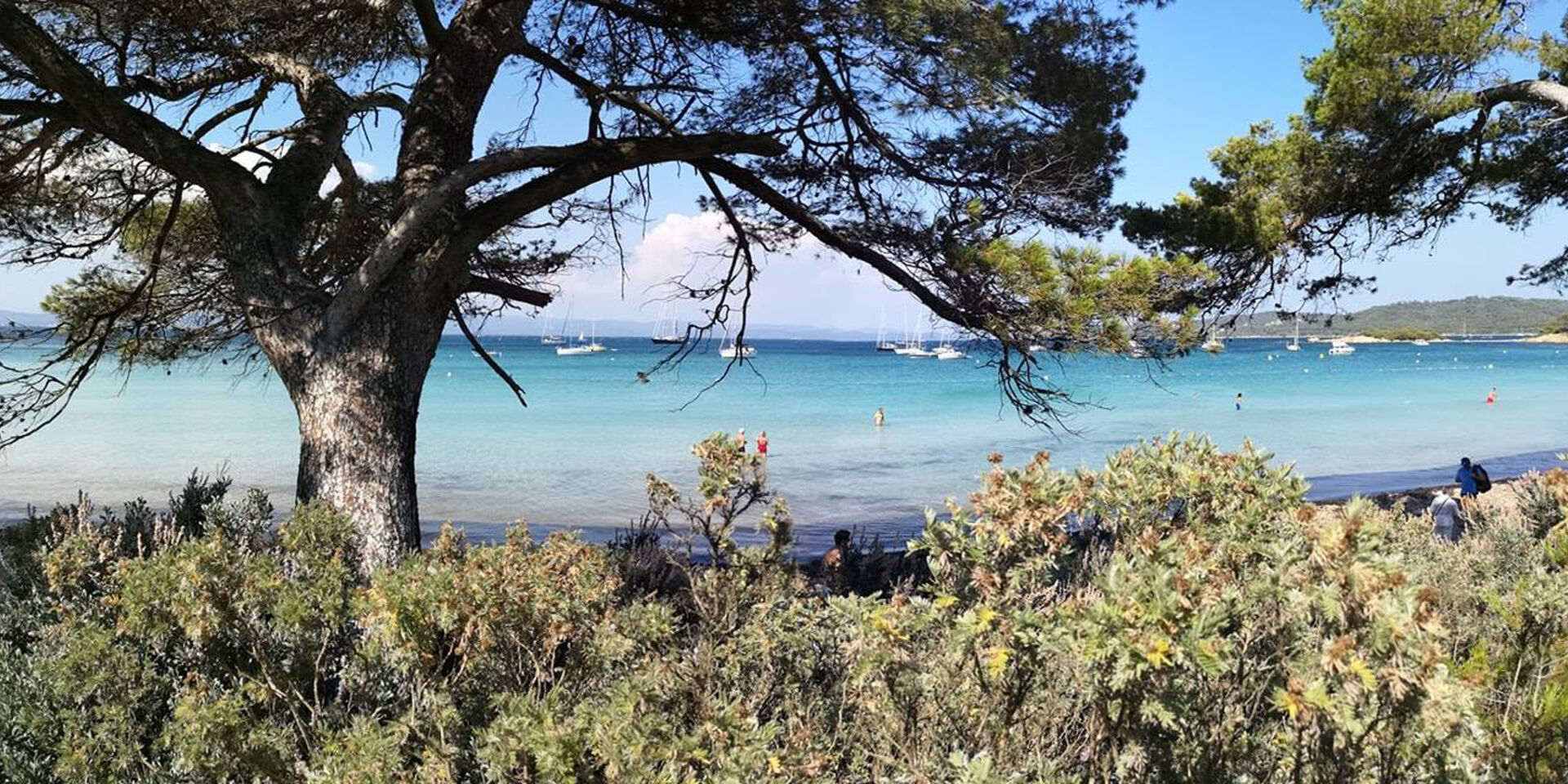 Du camping à Porquerolles navette au port de La Londe