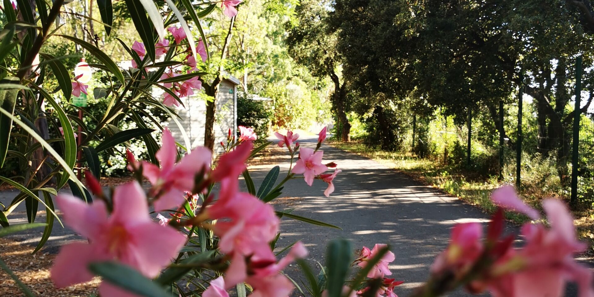 Camping nature proche de Bormes