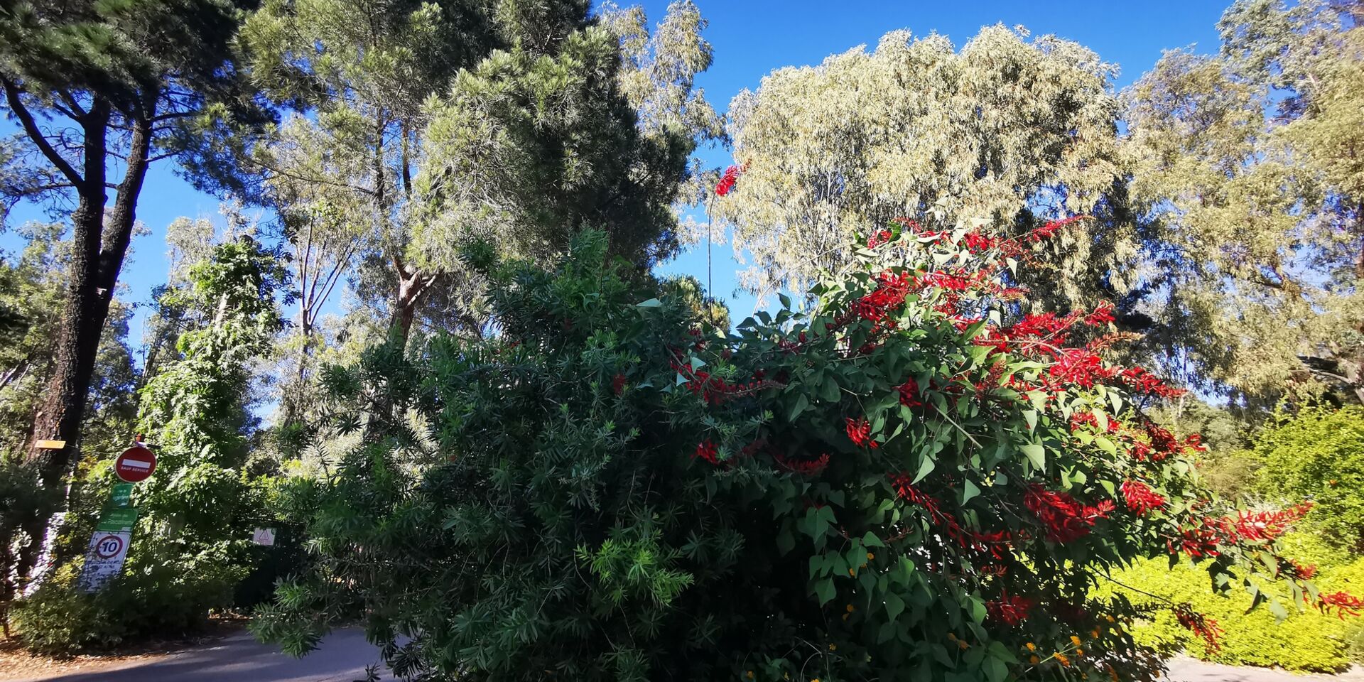 Camping ombragé en bord de mer dans le var