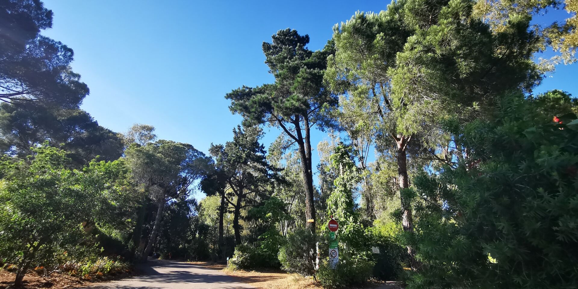 Camping ombragé dans le var