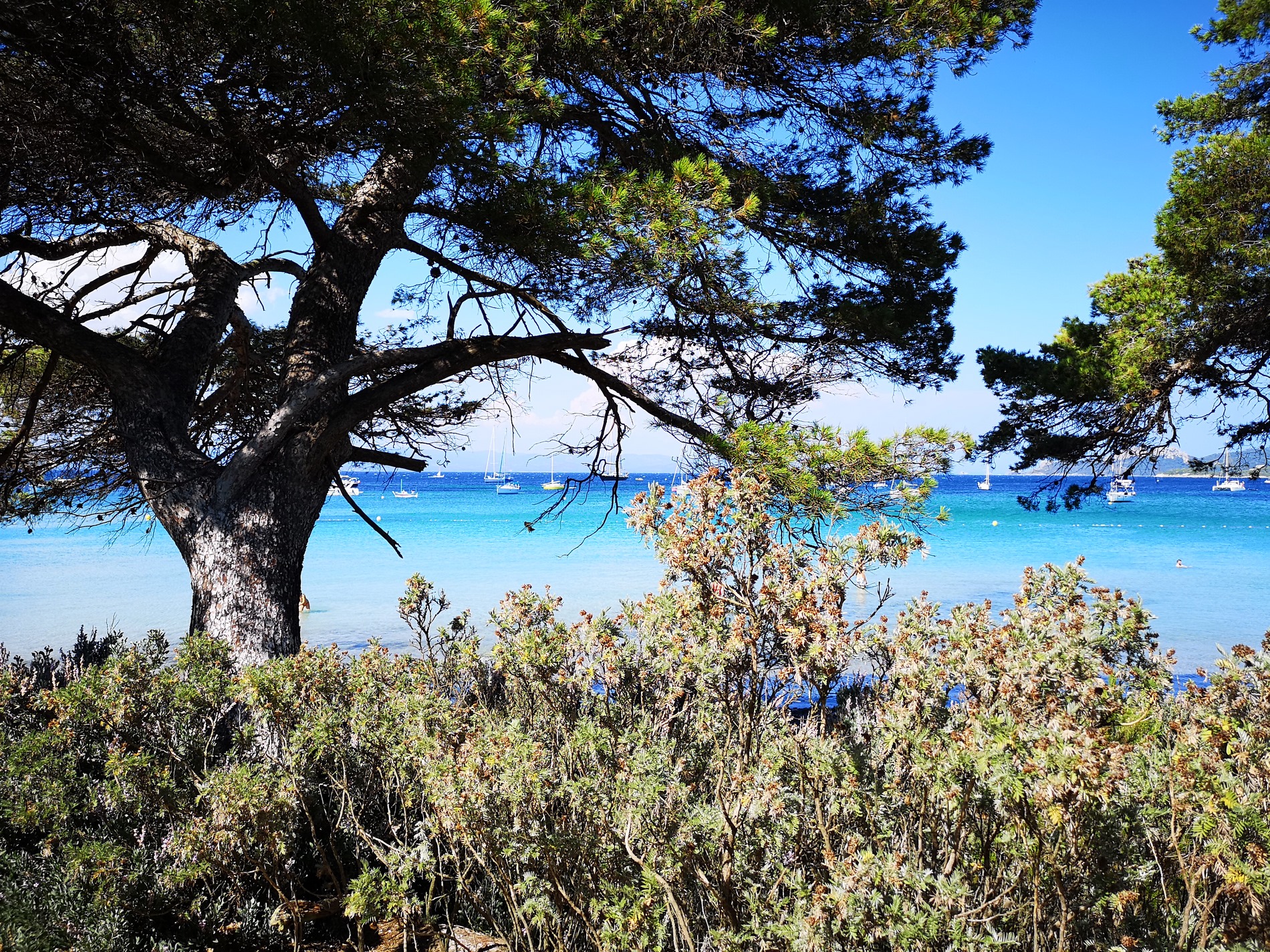 Très belle vue mer près de Hyères