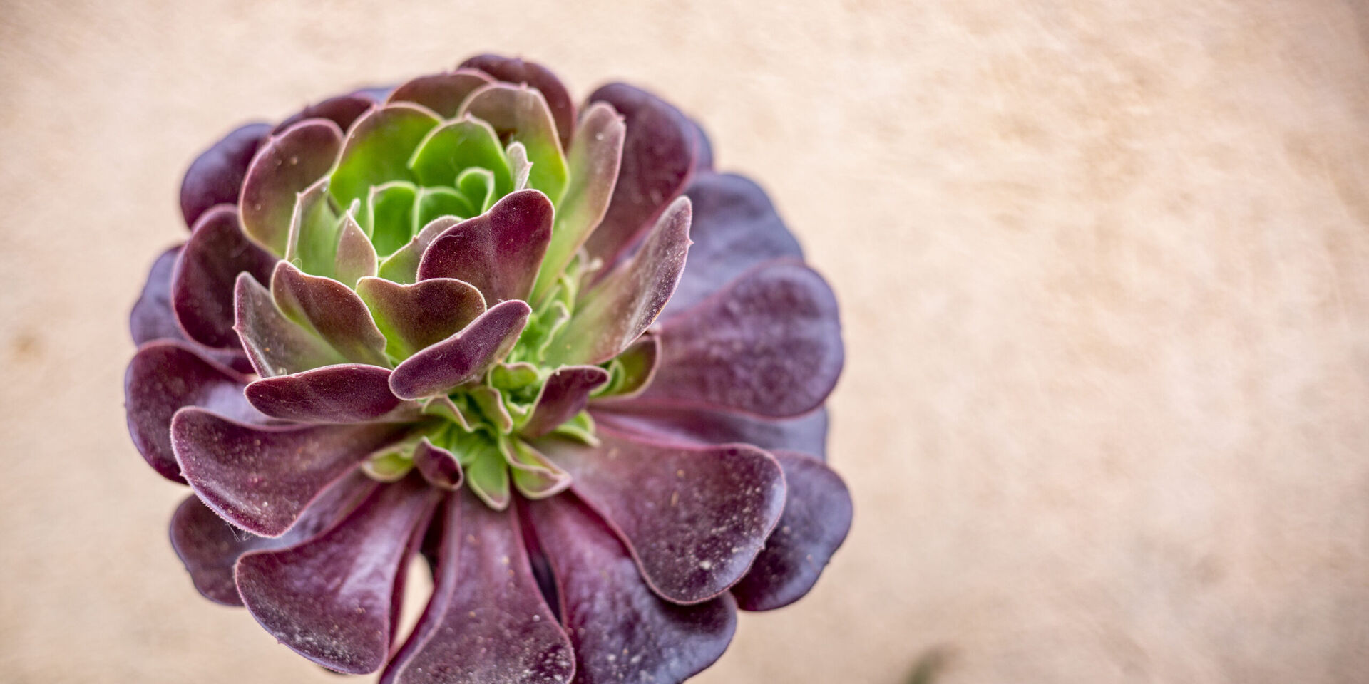 Jardin botanique dans le Var