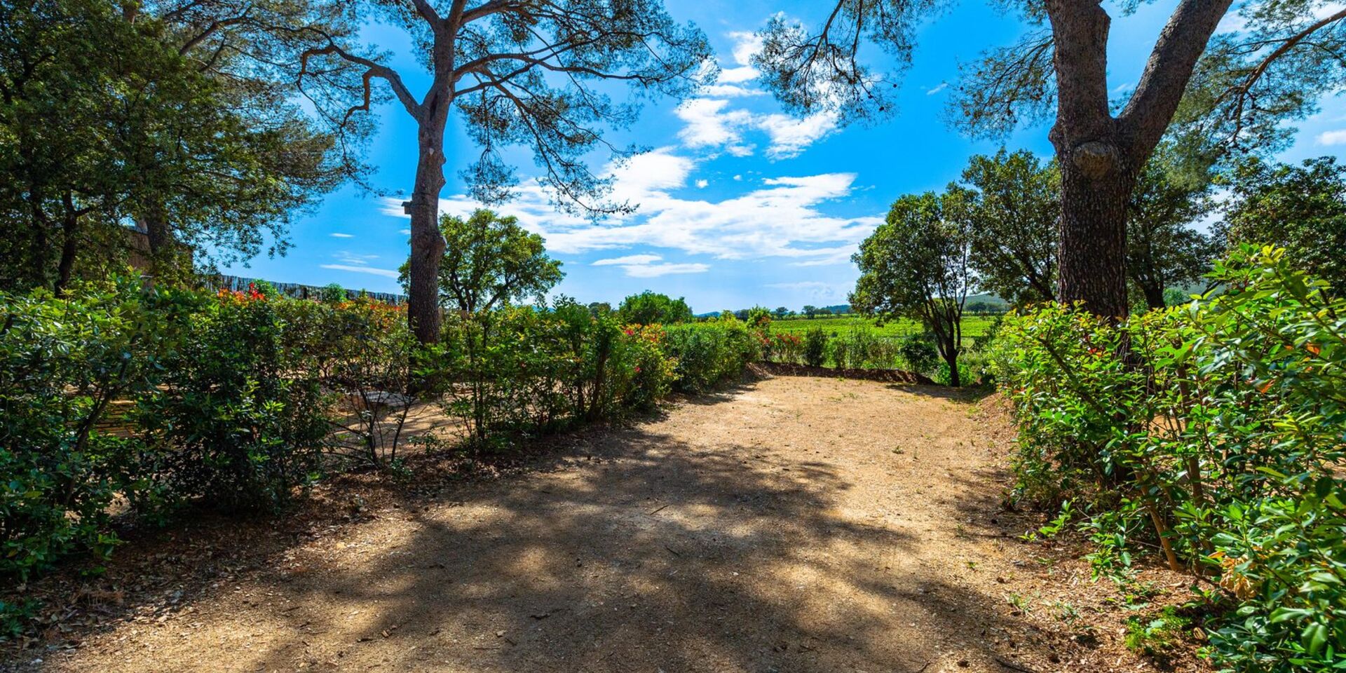 Location emplacement grande tente camping ombragé Hyères