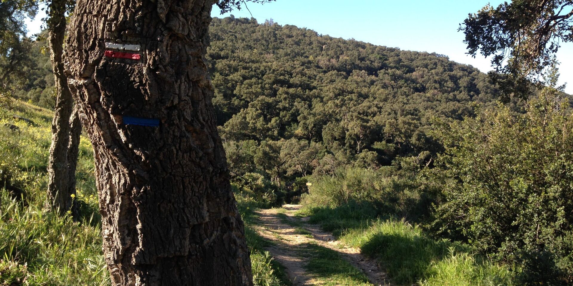 Randonnées dans le Var