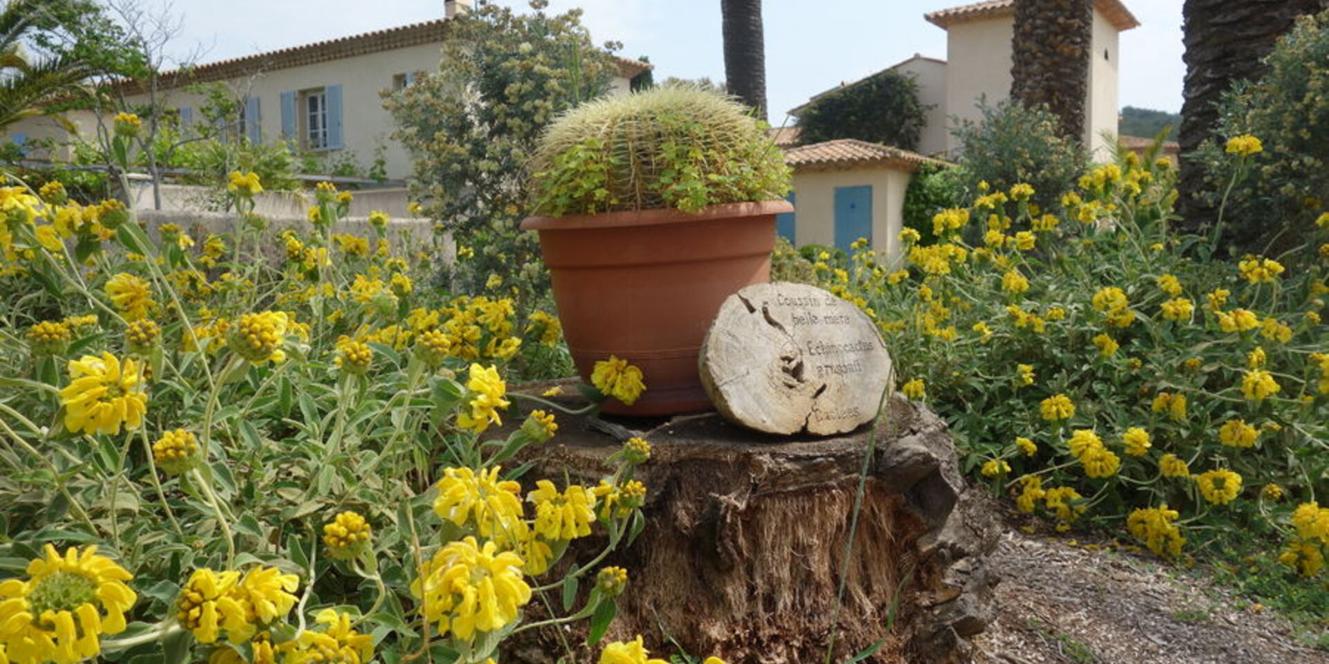 Visite en famille à Porquerolles