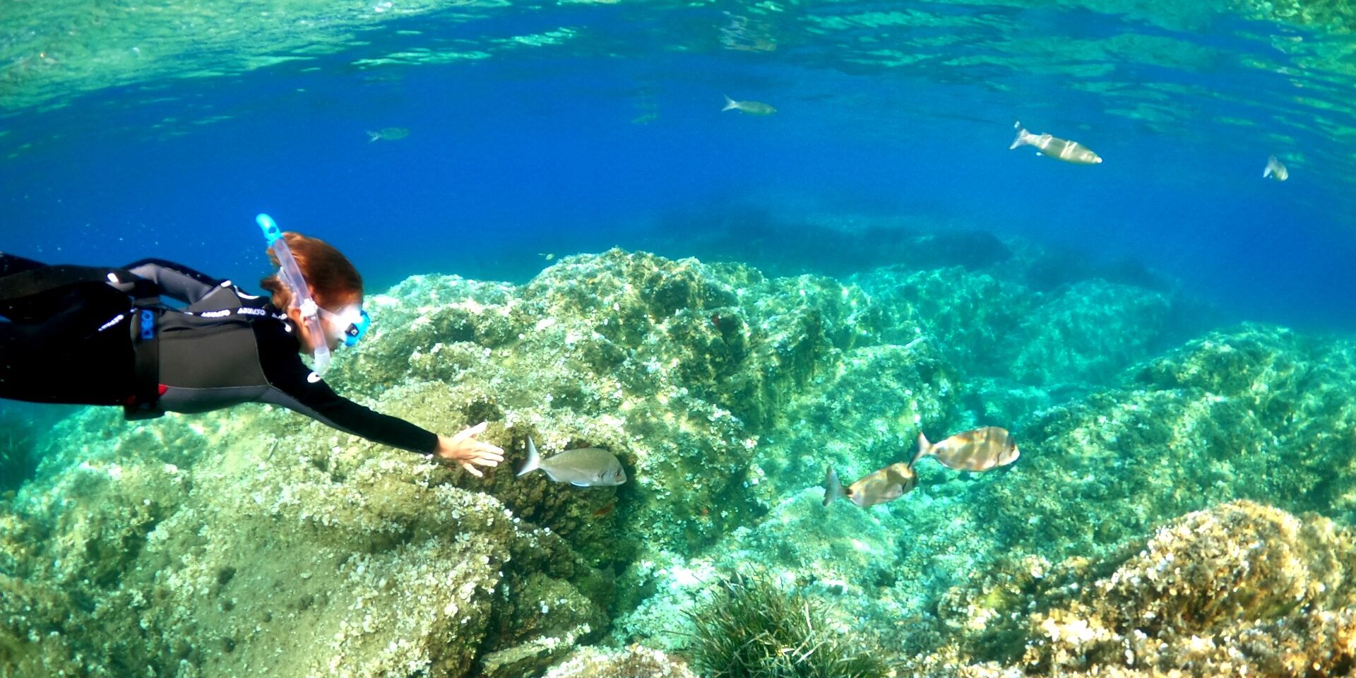 Plongée sous-marine encadrée